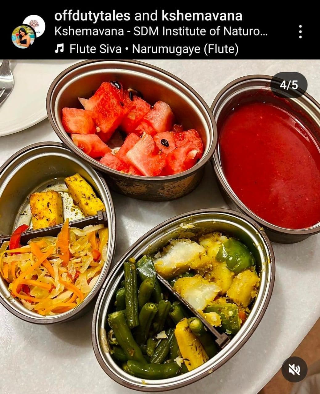 Influencer content: steel tiffin dishes with fruit and vegetables