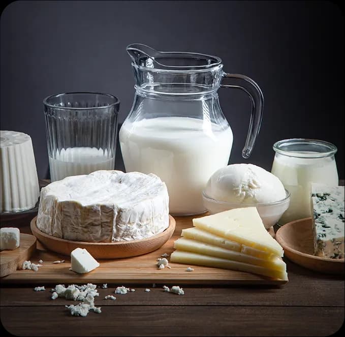 Dairy Products imagery from KSE