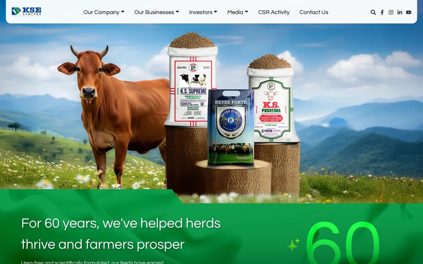The Cattle Feeds business page on desktop