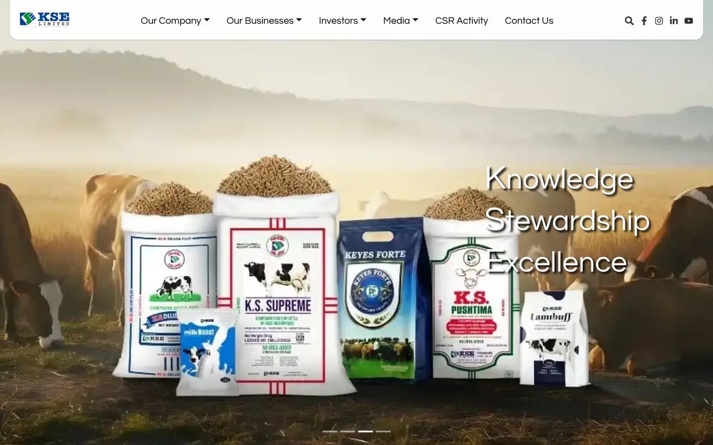 The KSE Limited homepage on desktop