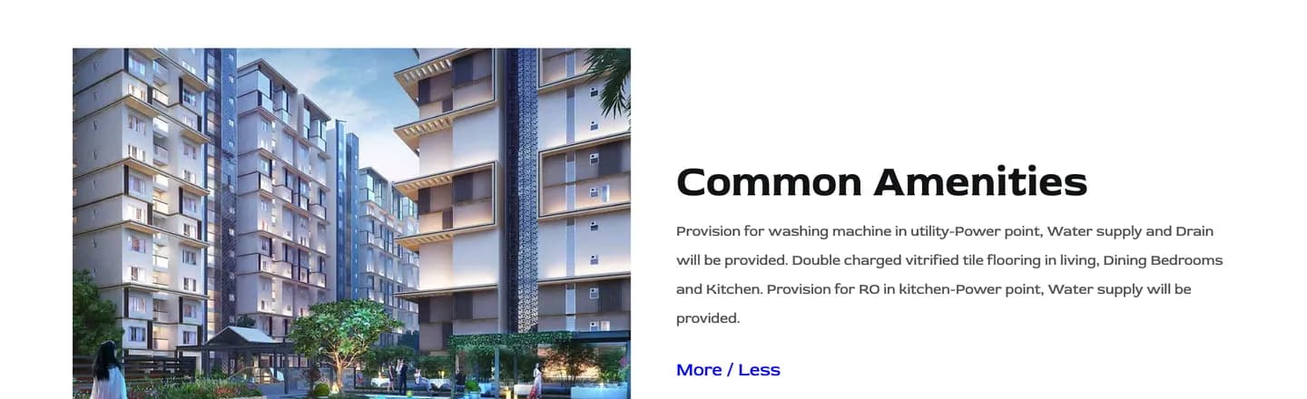 The Common Amenities section with a project render